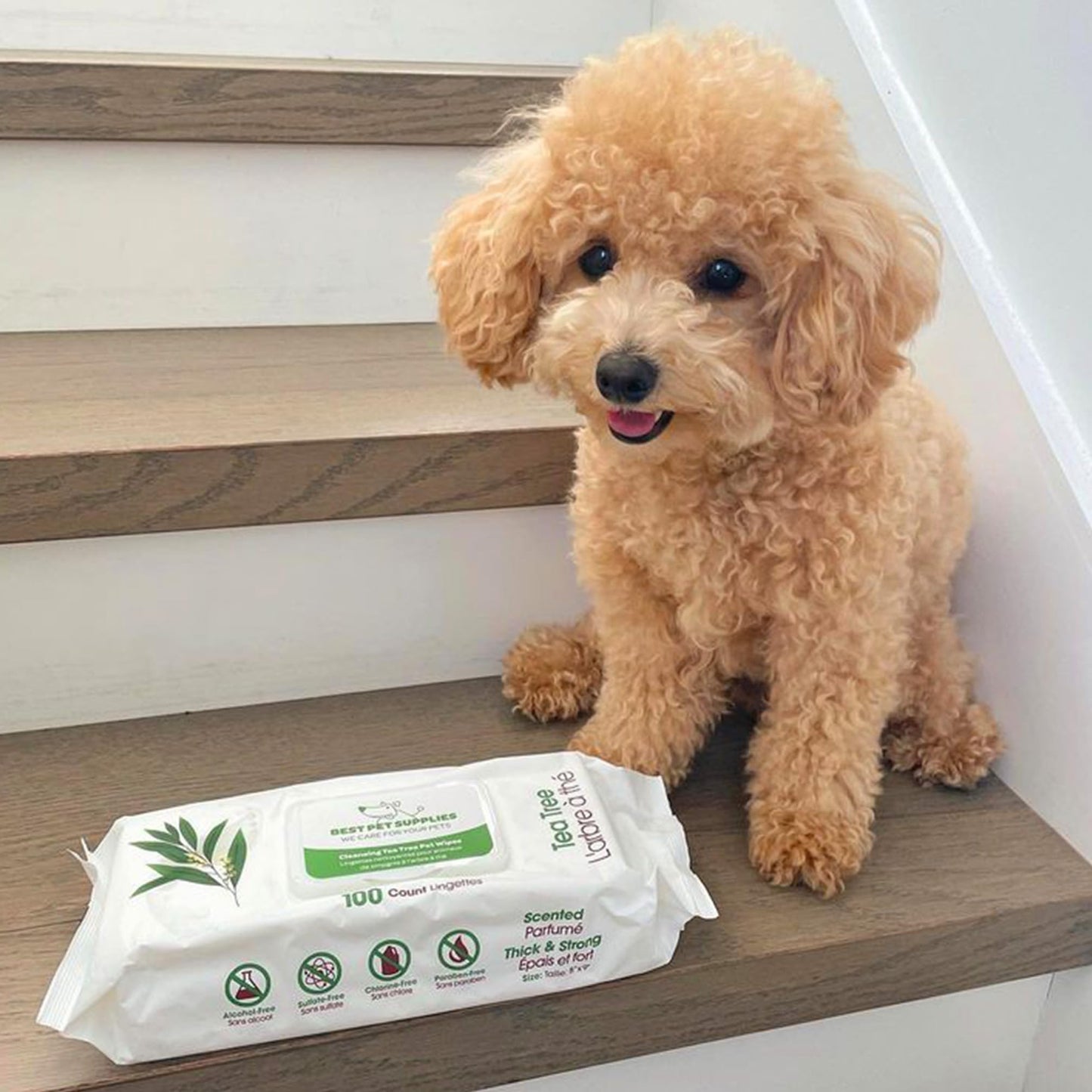 Best Pet Supplies 8" x 9" Pet Grooming Wipes for Dogs & Cats, 100 Pack, Plant-Based Deodorizer for Coats & Dry, Itchy, or Sensitive Skin, Clean Ears, Paws, & Butt - Calming Lavender