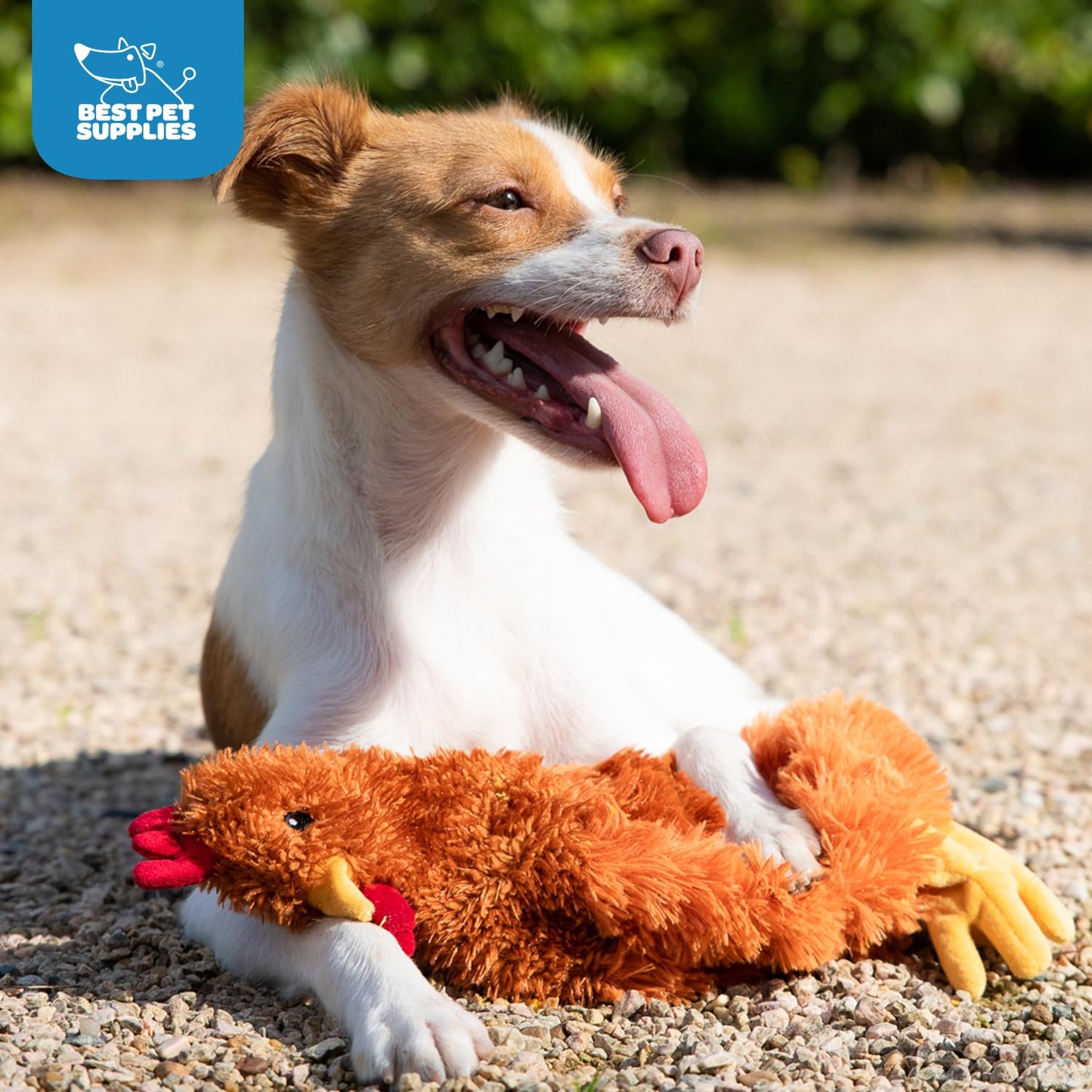 Best Pet Supplies Interactive Bunny Buddy Dog Toy with Crinkle and Squeaky Enrichment for Small and Medium Breed Puppies or Dogs, Cute and Plush - Bunny (Beige)