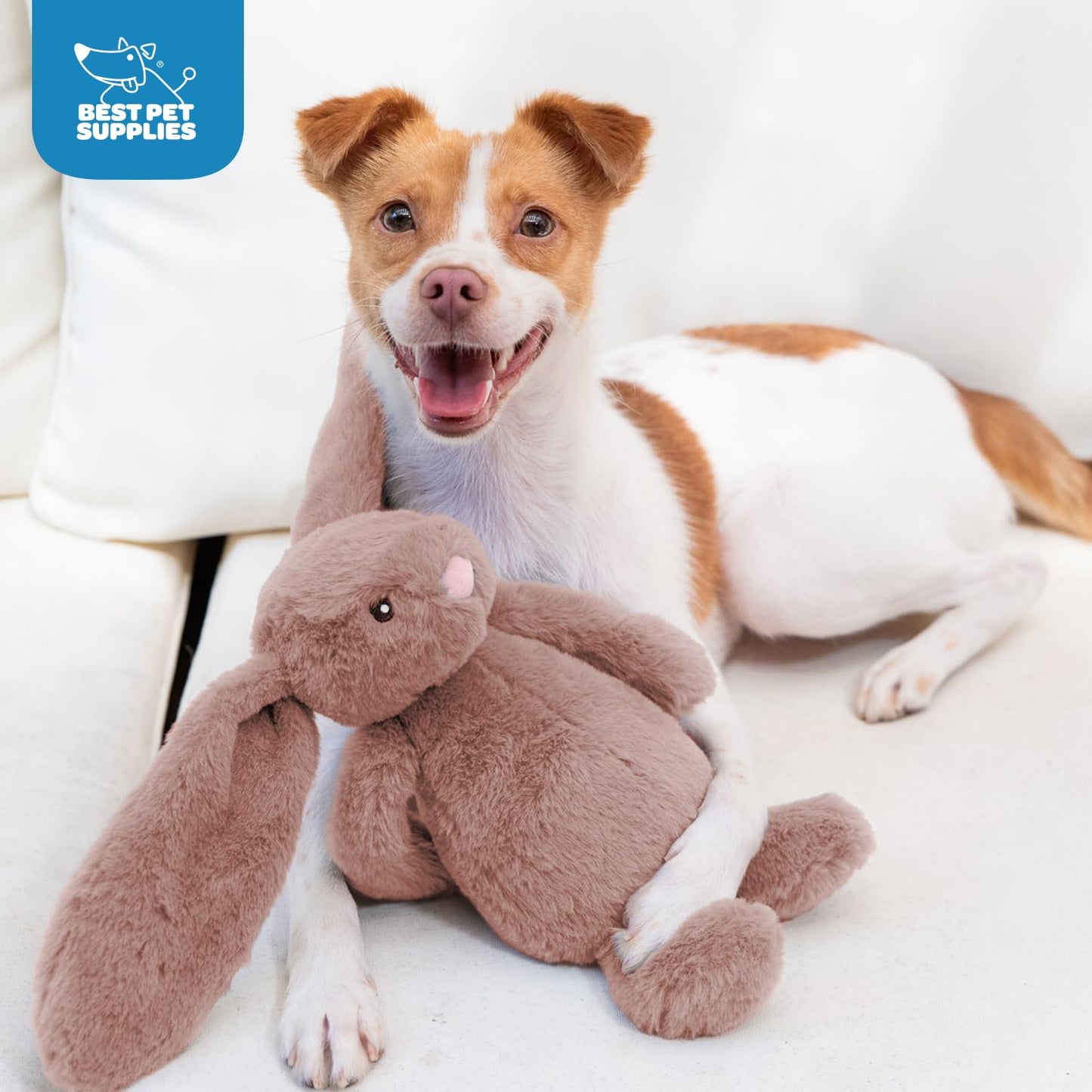 Best Pet Supplies Interactive Bunny Buddy Dog Toy with Crinkle and Squeaky Enrichment for Small and Medium Breed Puppies or Dogs, Cute and Plush - Bunny (Beige)