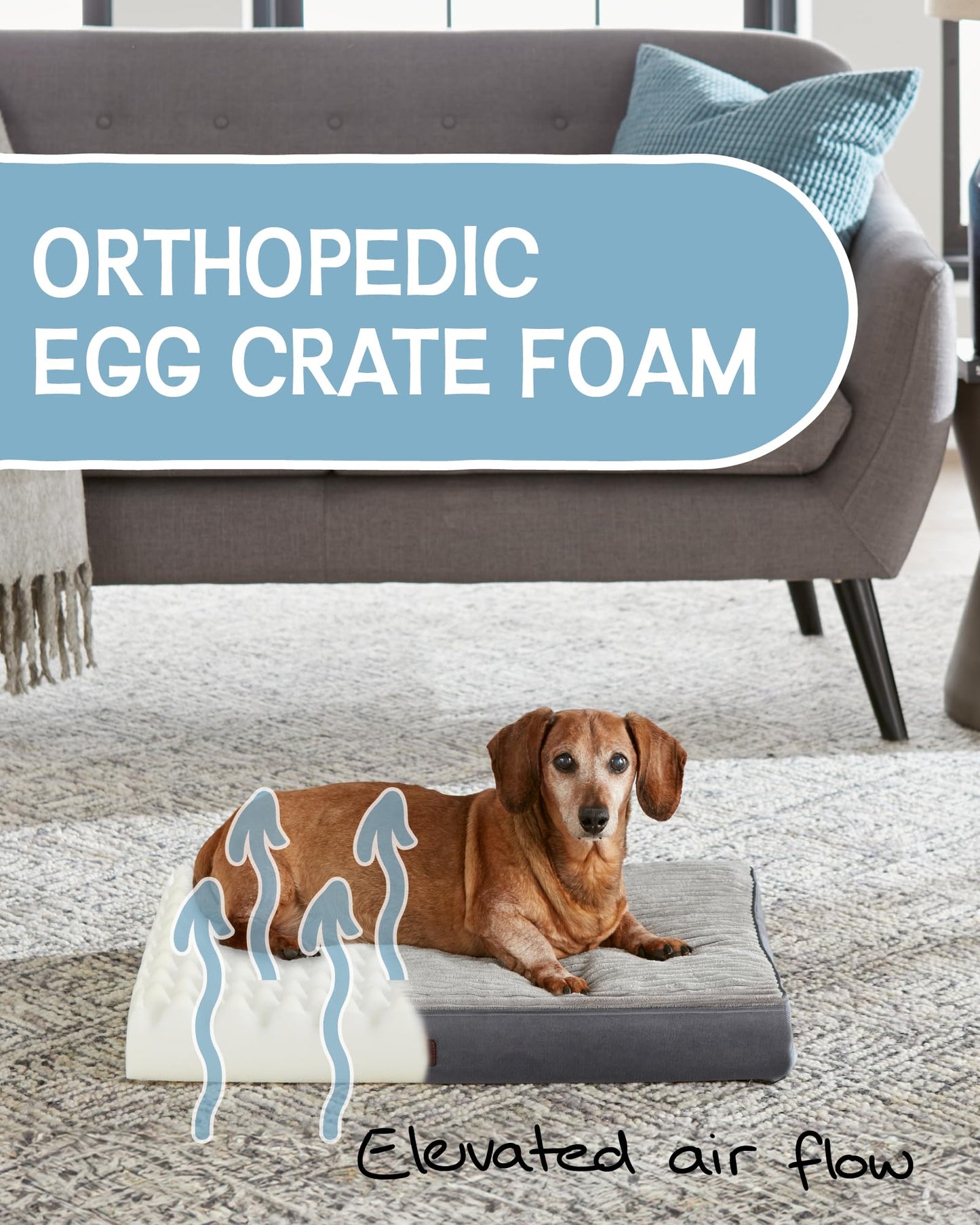 35 Inch Orthopedic Waterproof & Machine Washable Dog Bed with Egg Crate Foam Support, Non-Slip Bottom and Removable Pet Bed Cover for Extra Large, Large, Medium, Small Dogs (Gray)