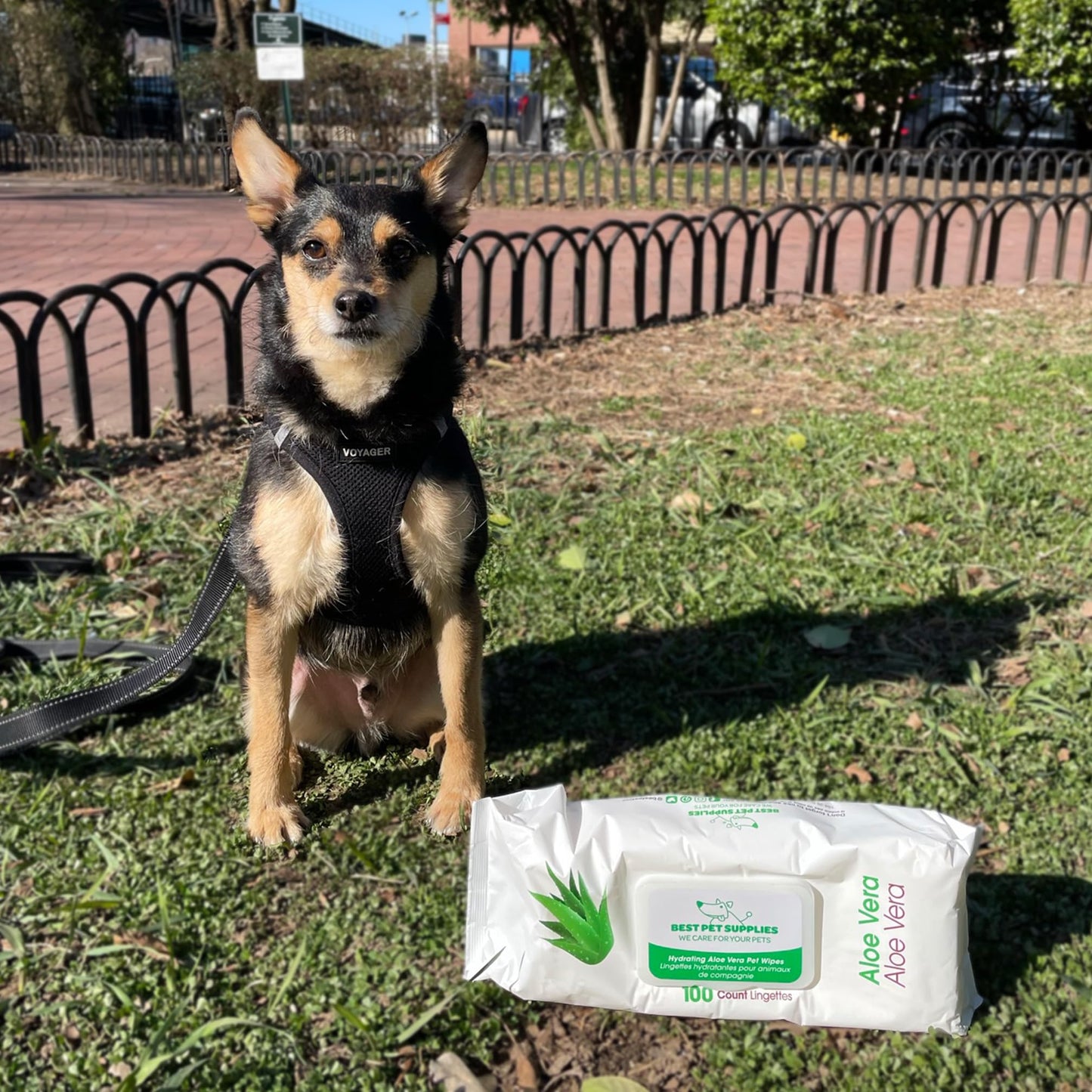 Best Pet Supplies 8" x 9" Pet Grooming Wipes for Dogs & Cats, 100 Pack, Plant-Based Deodorizer for Coats & Dry, Itchy, or Sensitive Skin, Clean Ears, Paws, & Butt - Calming Lavender