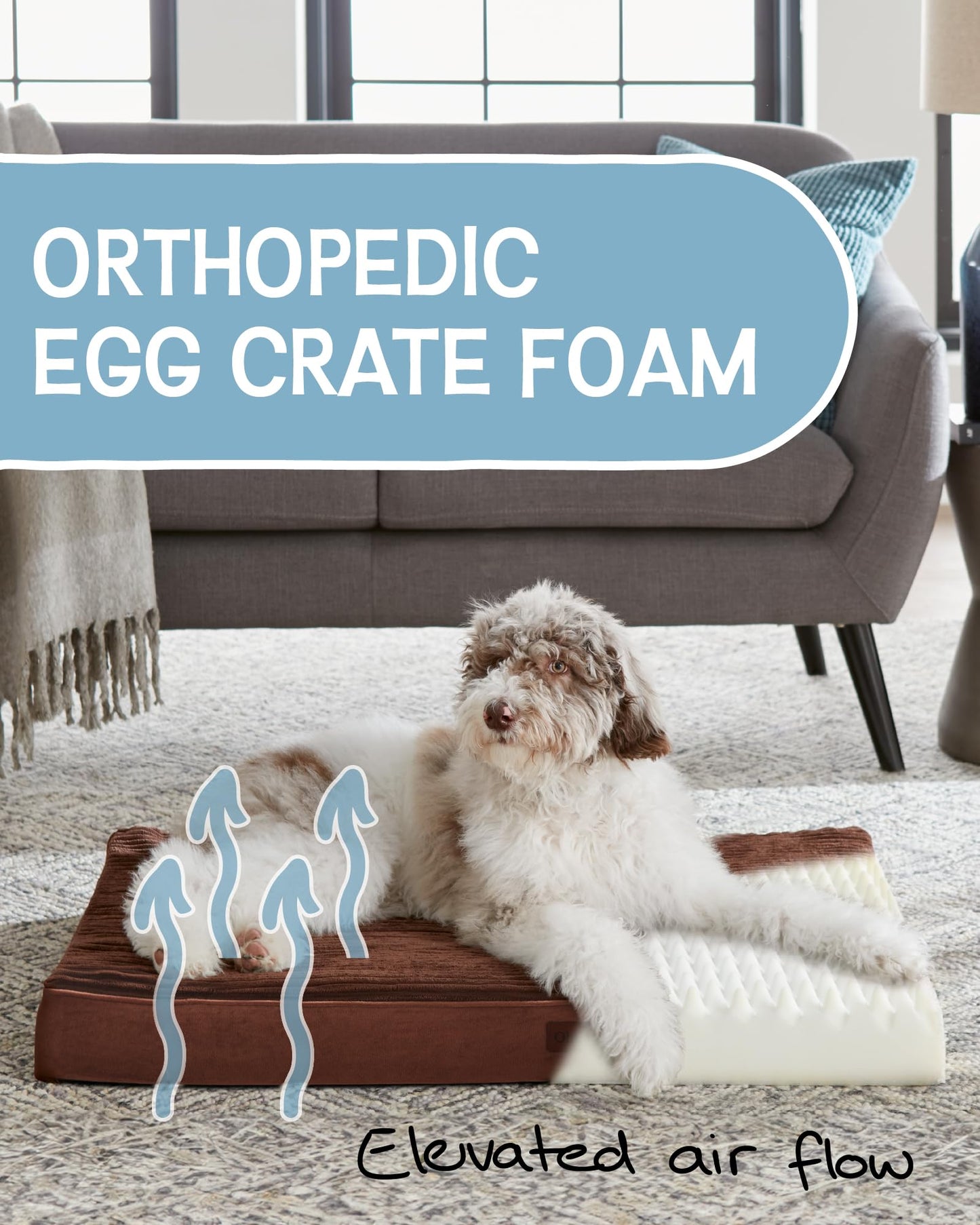 35 Inch Orthopedic Waterproof & Machine Washable Dog Bed with Egg Crate Foam Support, Non-Slip Bottom and Removable Pet Bed Cover for Extra Large, Large, Medium, Small Dogs (Gray)