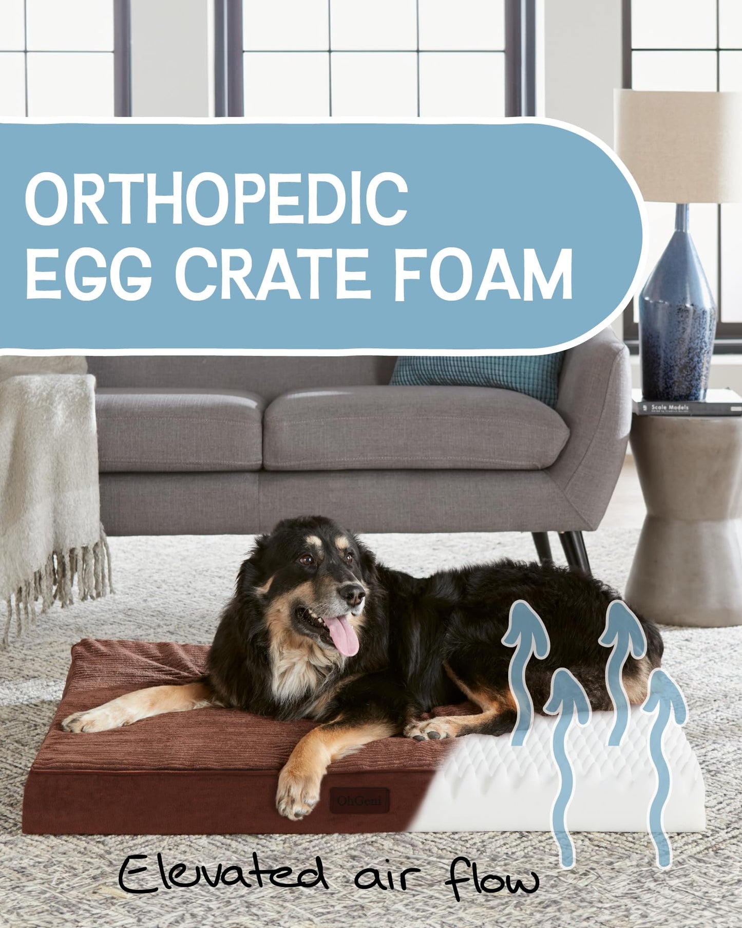 35 Inch Orthopedic Waterproof & Machine Washable Dog Bed with Egg Crate Foam Support, Non-Slip Bottom and Removable Pet Bed Cover for Extra Large, Large, Medium, Small Dogs (Gray)